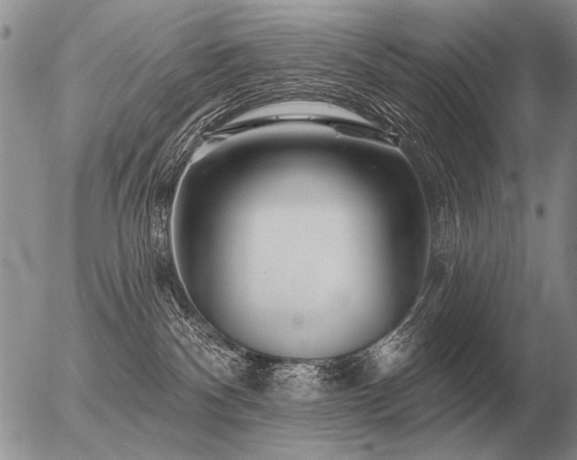 X0000056370140200508261413