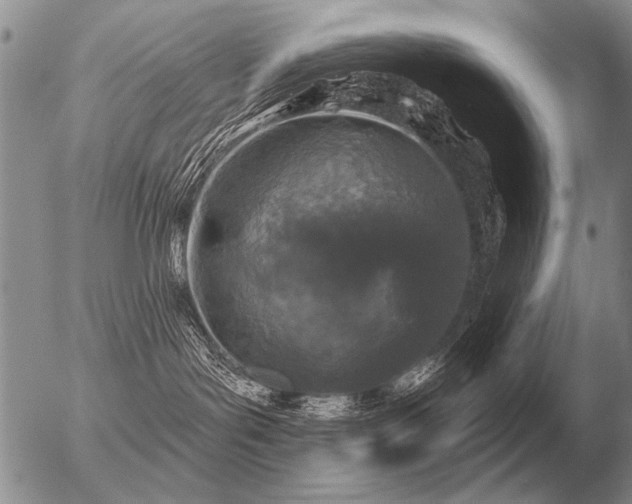 X0000056370143200508261413