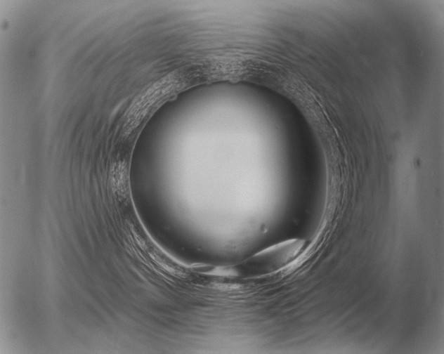 X0000056370144200508261412