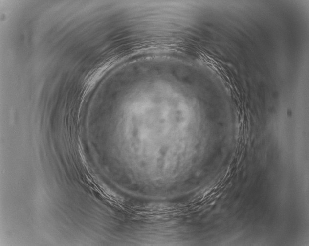 X0000056370145200508261412