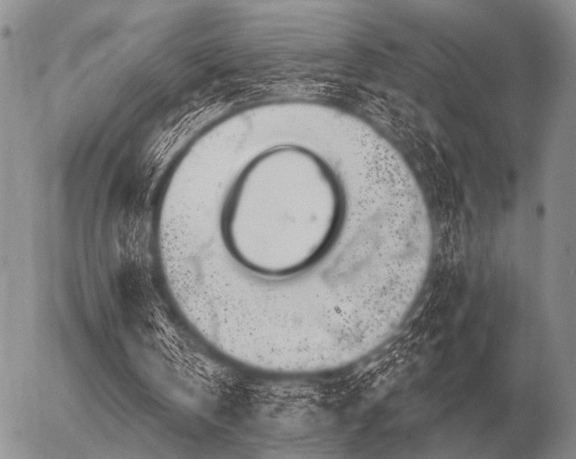 X0000056370146200508261412