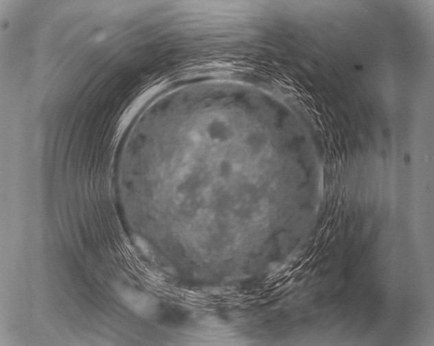 X0000056370147200508261412