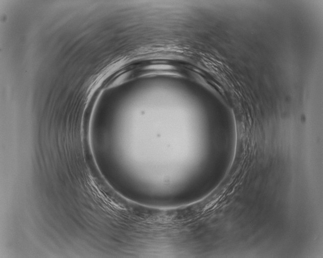 X0000056370148200508261412