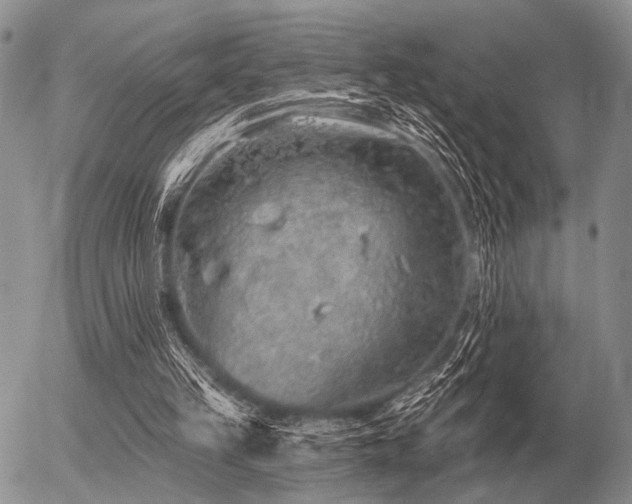 X0000056370149200508261412