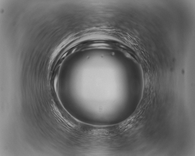 X0000056370150200508261412