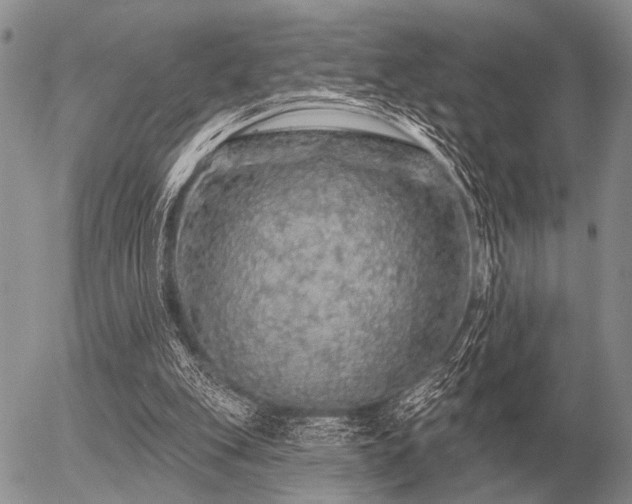 X0000056370151200508261412