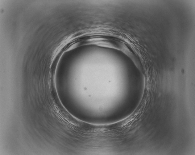 X0000056370152200508261412