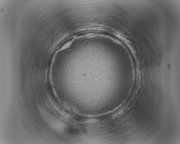 X0000056370153200508261412