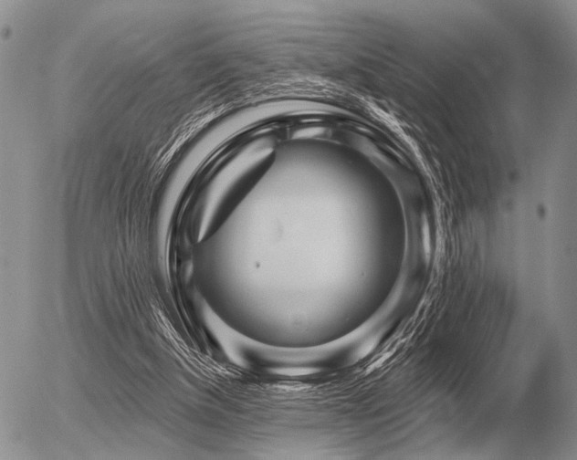 X0000056370154200508261412