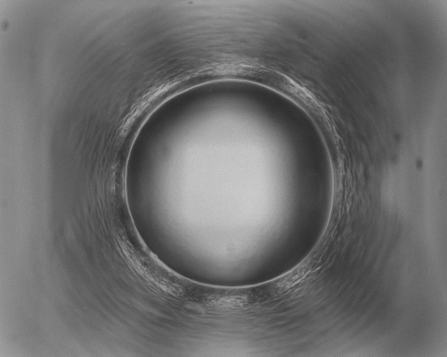 X0000056370155200508261412