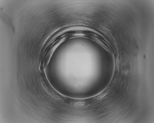 X0000056370156200508261412