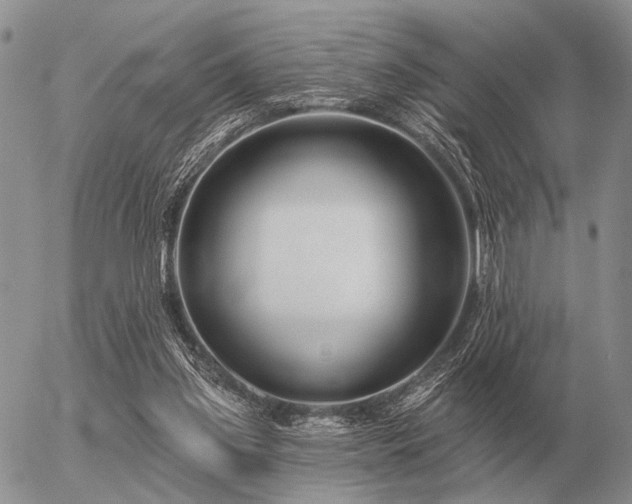 X0000056370157200508261412