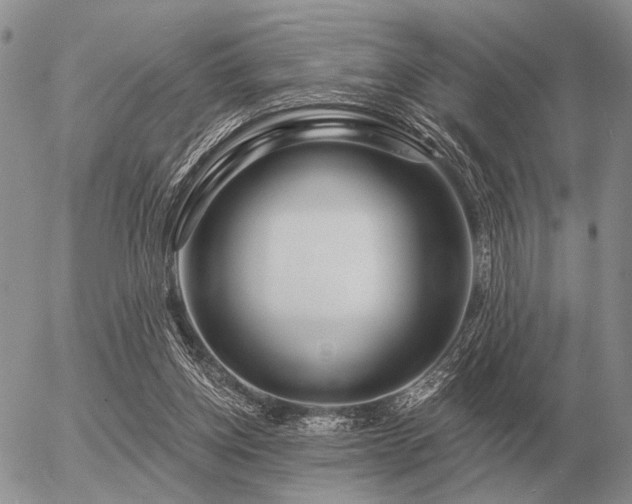 X0000056370158200508261412