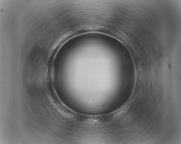 X0000056370159200508261412