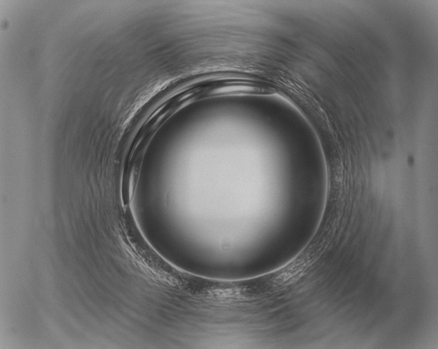 X0000056370160200508261412