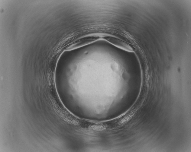 X0000056370161200508261412