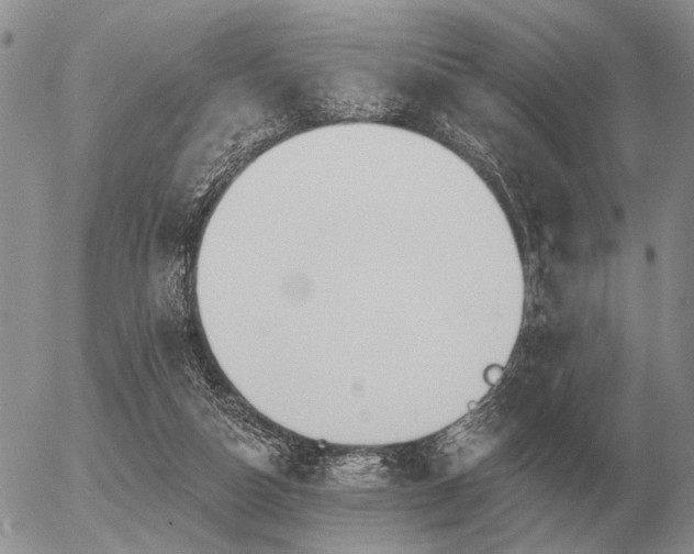 X0000056370162200508261412