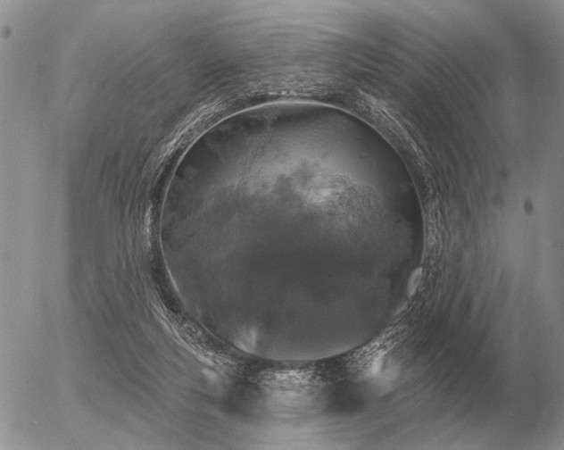 X0000056370163200508261412