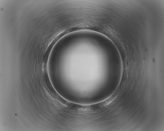 X0000056370164200508261412