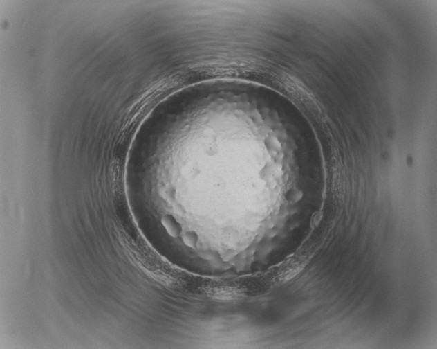 X0000056370165200508261412