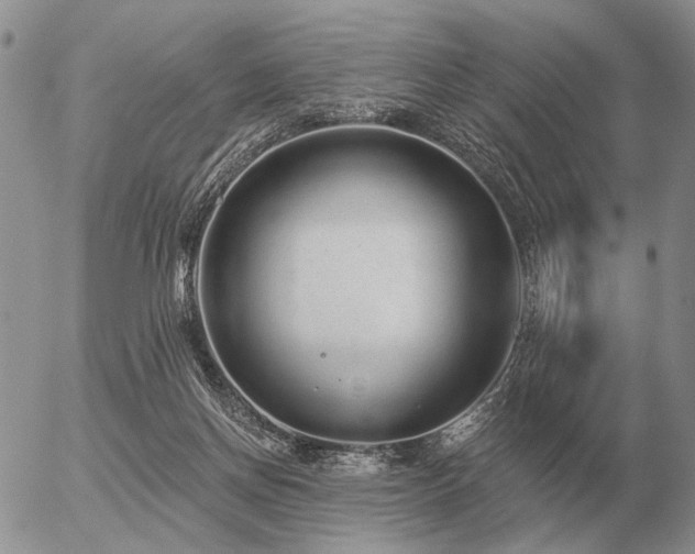 X0000056370166200508261412