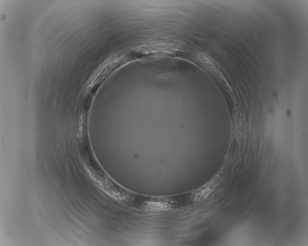 X0000056370167200508261412