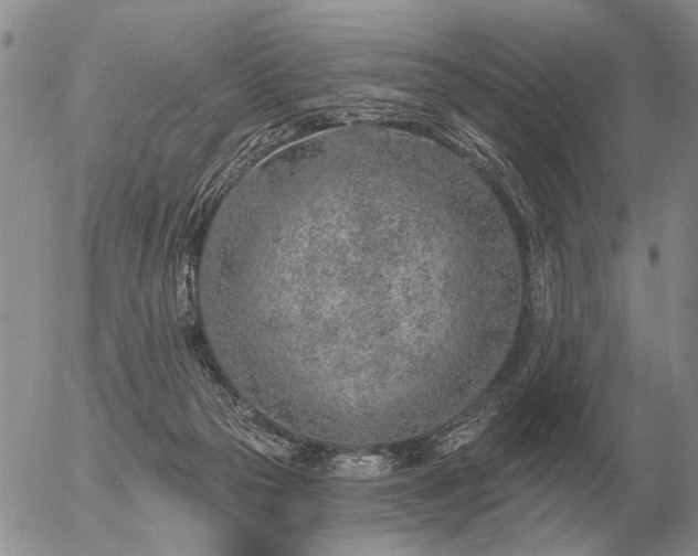 X0000056370169200508261412