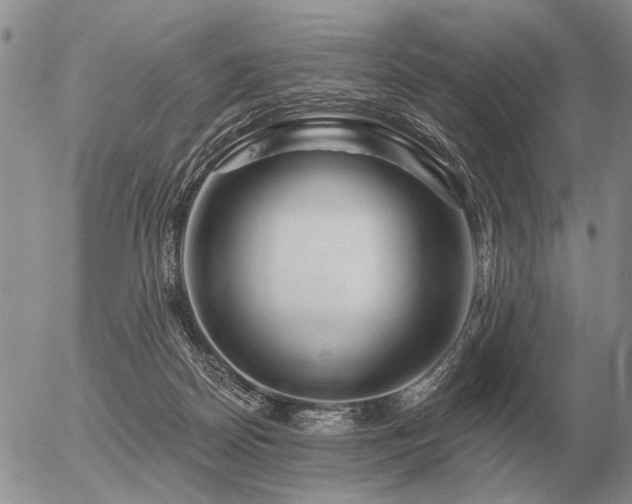 X0000056370170200508261412