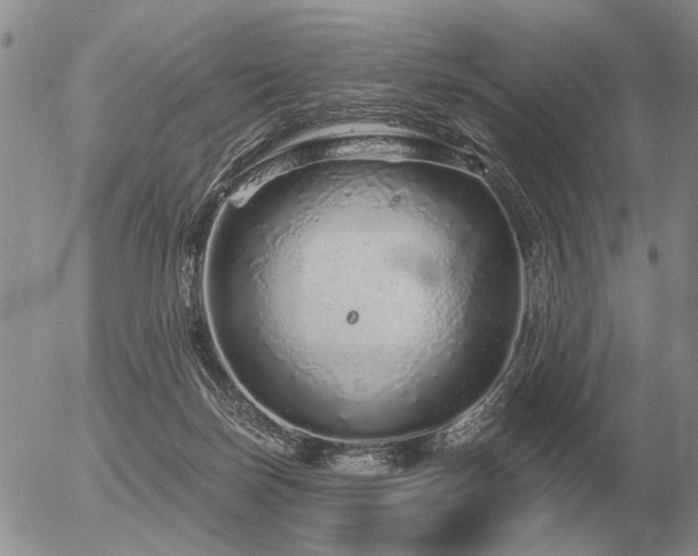 X0000056370171200508261412