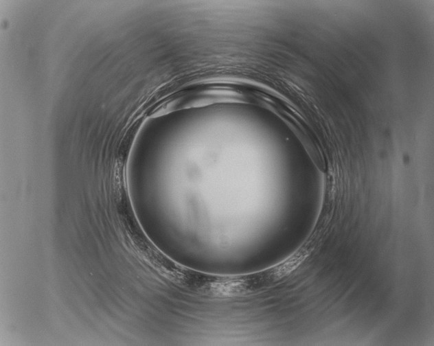 X0000056370172200508261412