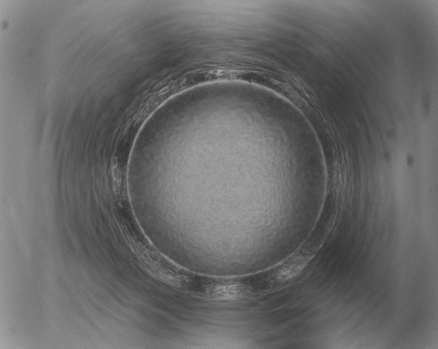 X0000056370173200508261412