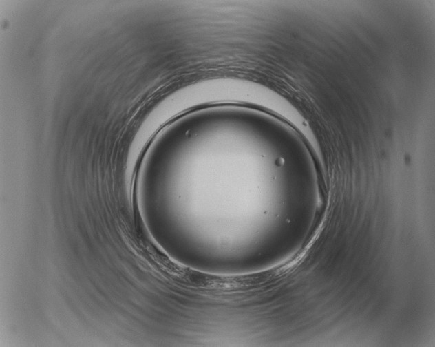 X0000056370174200508261412