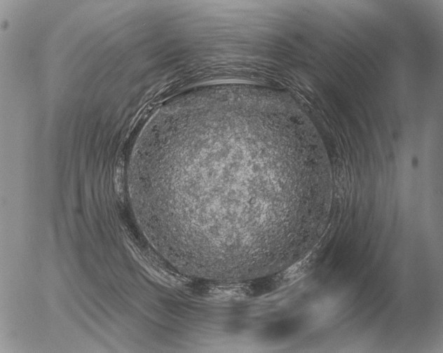 X0000056370175200508261412