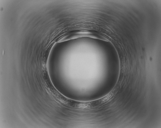 X0000056370176200508261412