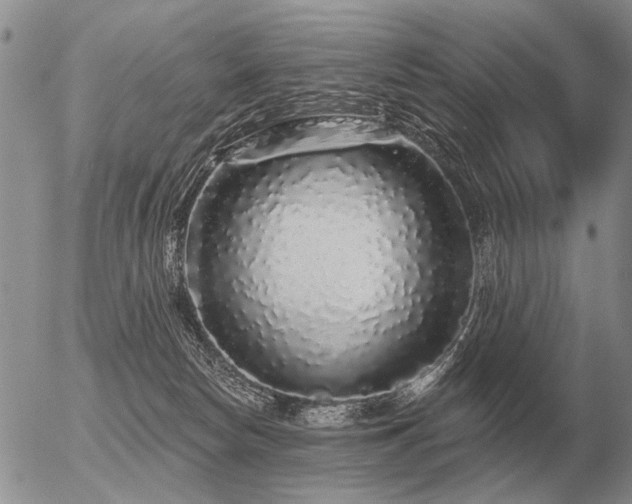 X0000056370178200508261412