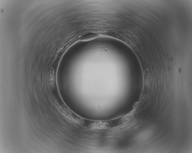 X0000056370179200508261412