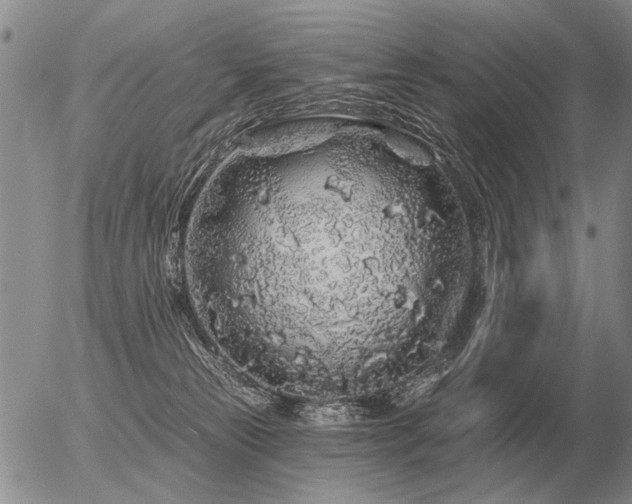 X0000056370181200508261412