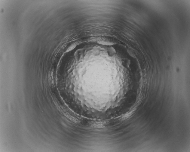 X0000056370182200508261412