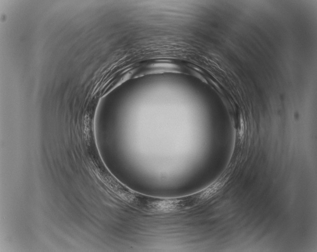 X0000056370184200508261412