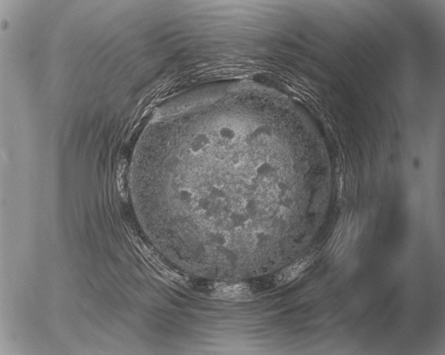 X0000056370185200508261412