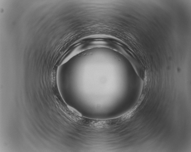 X0000056370186200508261412