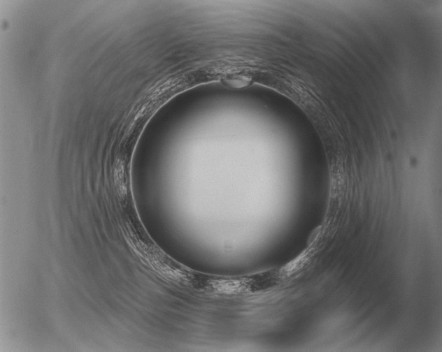 X0000056370187200508261412