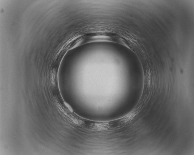 X0000056370188200508261412