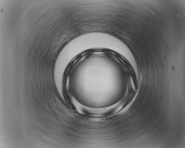 X0000056370190200508261412