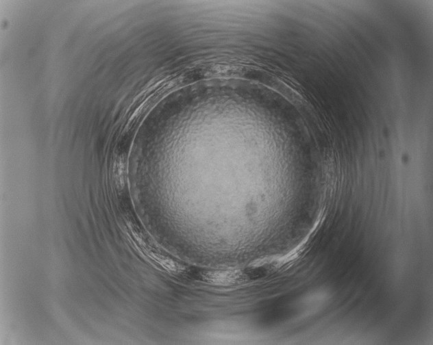 X0000056370191200508261412