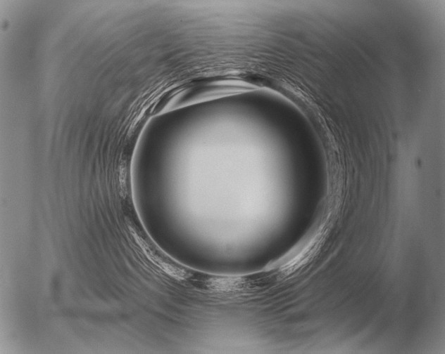 X0000056370192200508261412