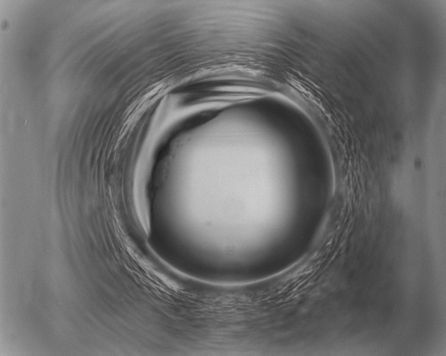 X0000056370193200508261412