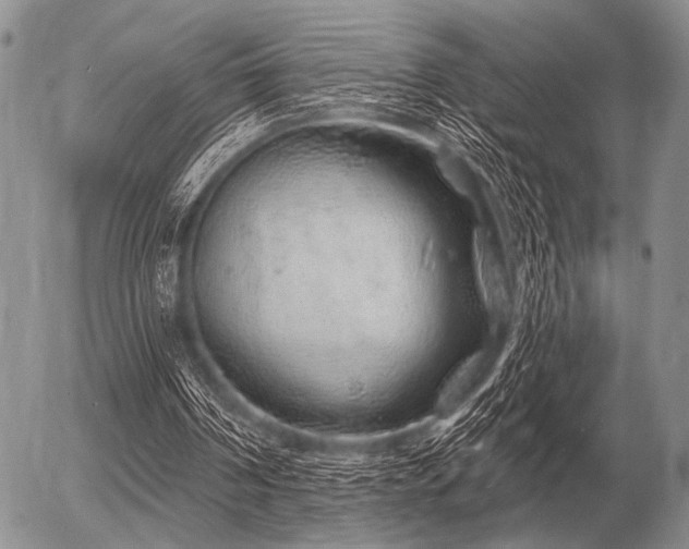 X0000056370194200508261412