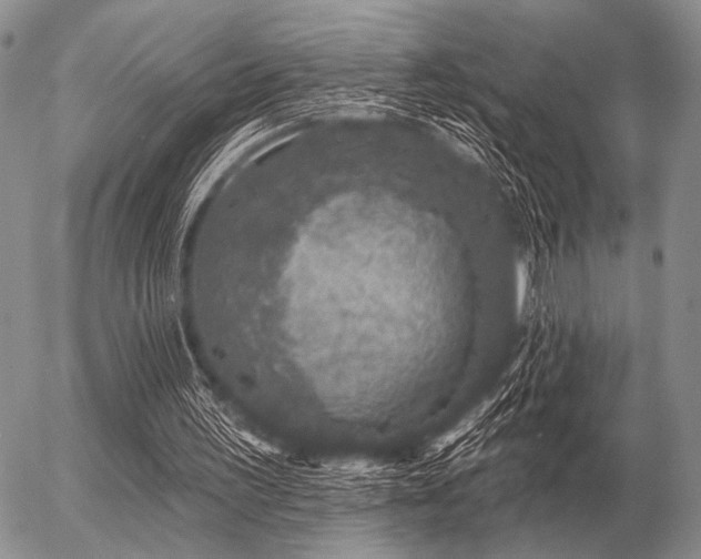 X0000056370195200508261412