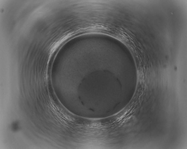 X0000056370196200508261412